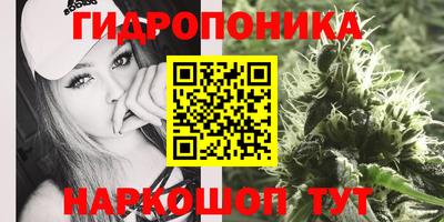гашик Ипатово