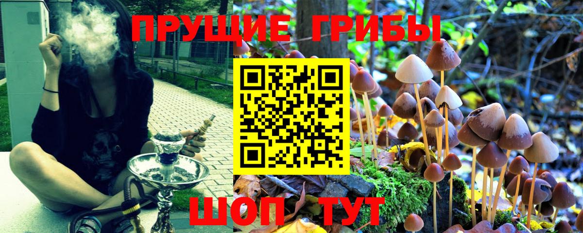 ГАШИШ Кропоткин