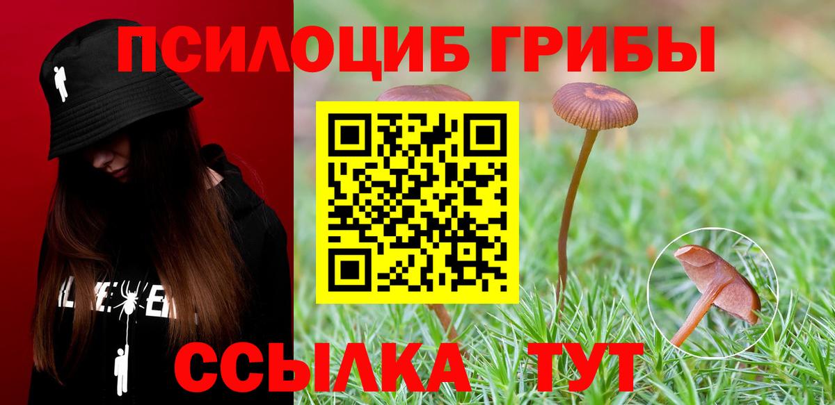 Псилоцибиновые грибы Psilocybine cubensis  Галлюциногенные грибы ЛСД  Вход с VPN  Кропоткин 